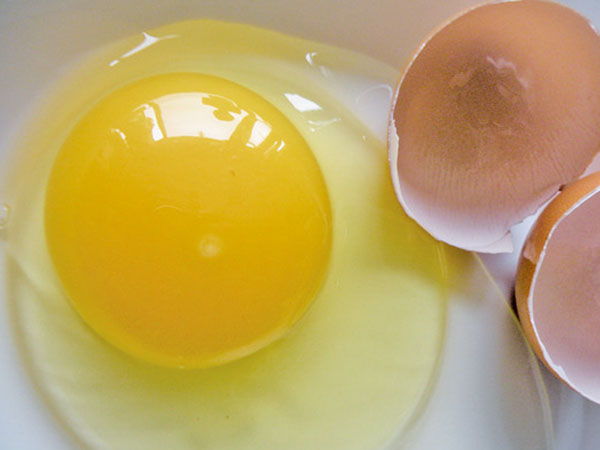 冷冻全山东蛋液厂家分析鸡蛋打发失败怎么办