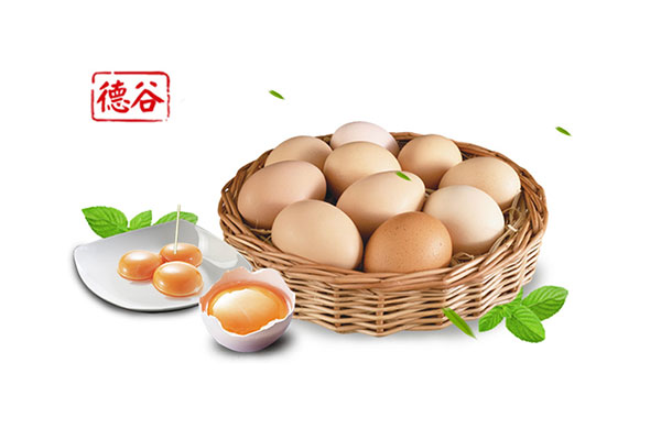 为什么食品工厂爱用山东巴氏杀菌蛋液？看完这几点就懂了！