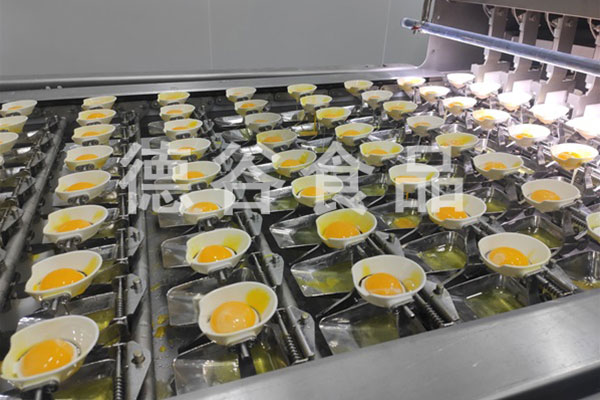 告别人工打蛋，德谷免分离山东蛋液助力食品工厂生产提效