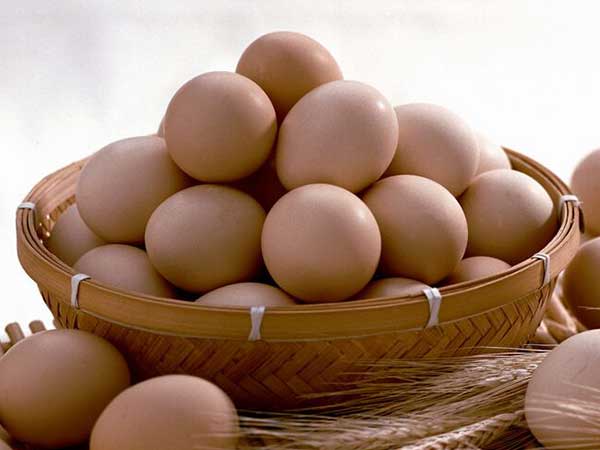 山东鲜鸡蛋