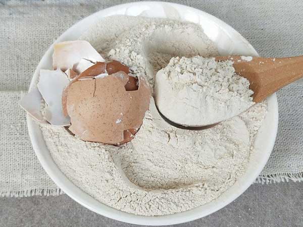 山东蛋壳粉